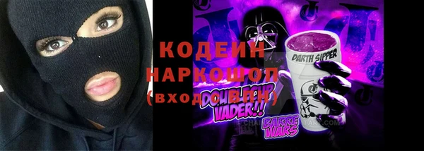 сатива Сатка