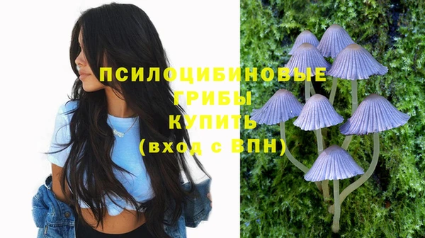 mdpv Ельня