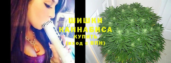 сатива Сатка