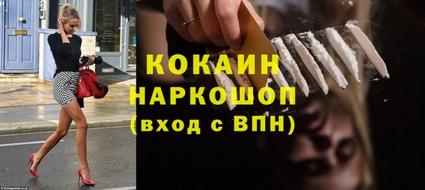 сатива Сатка